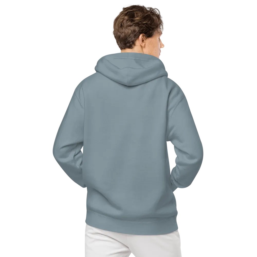 ANGELIC embroidered pigment hoodie product image (4)
