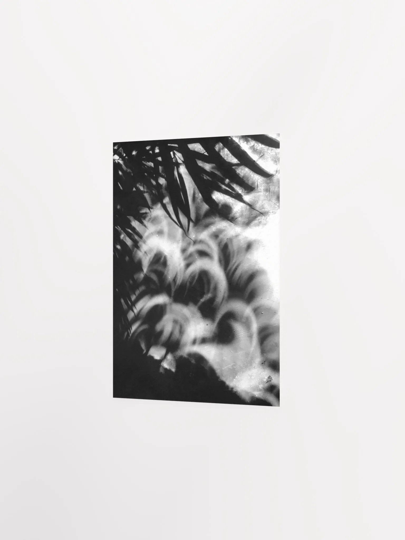 Crescents of Light from the Eclipse - Poster 3 product image (15)