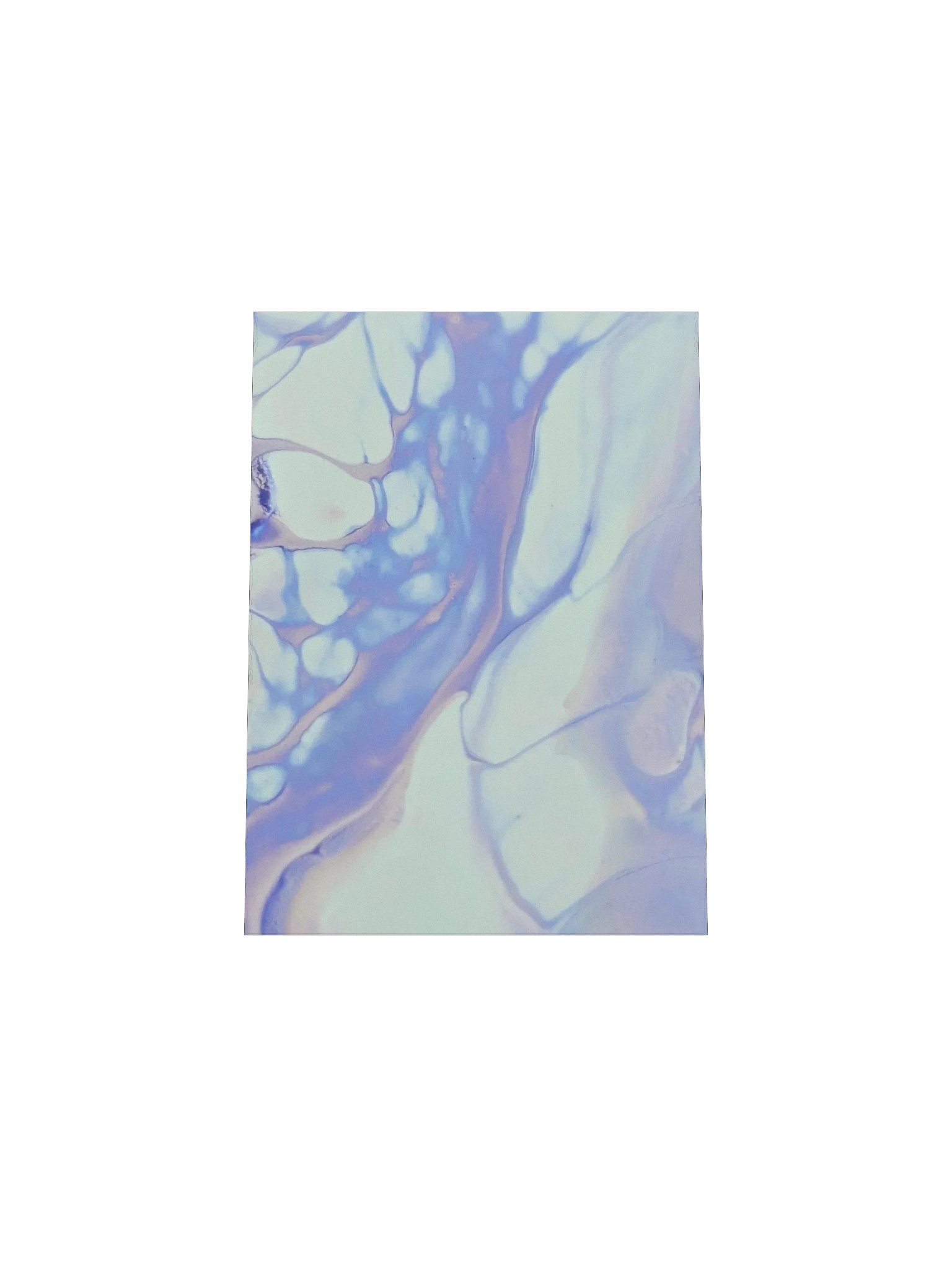 Pretty in Pastel Poster product image (4)