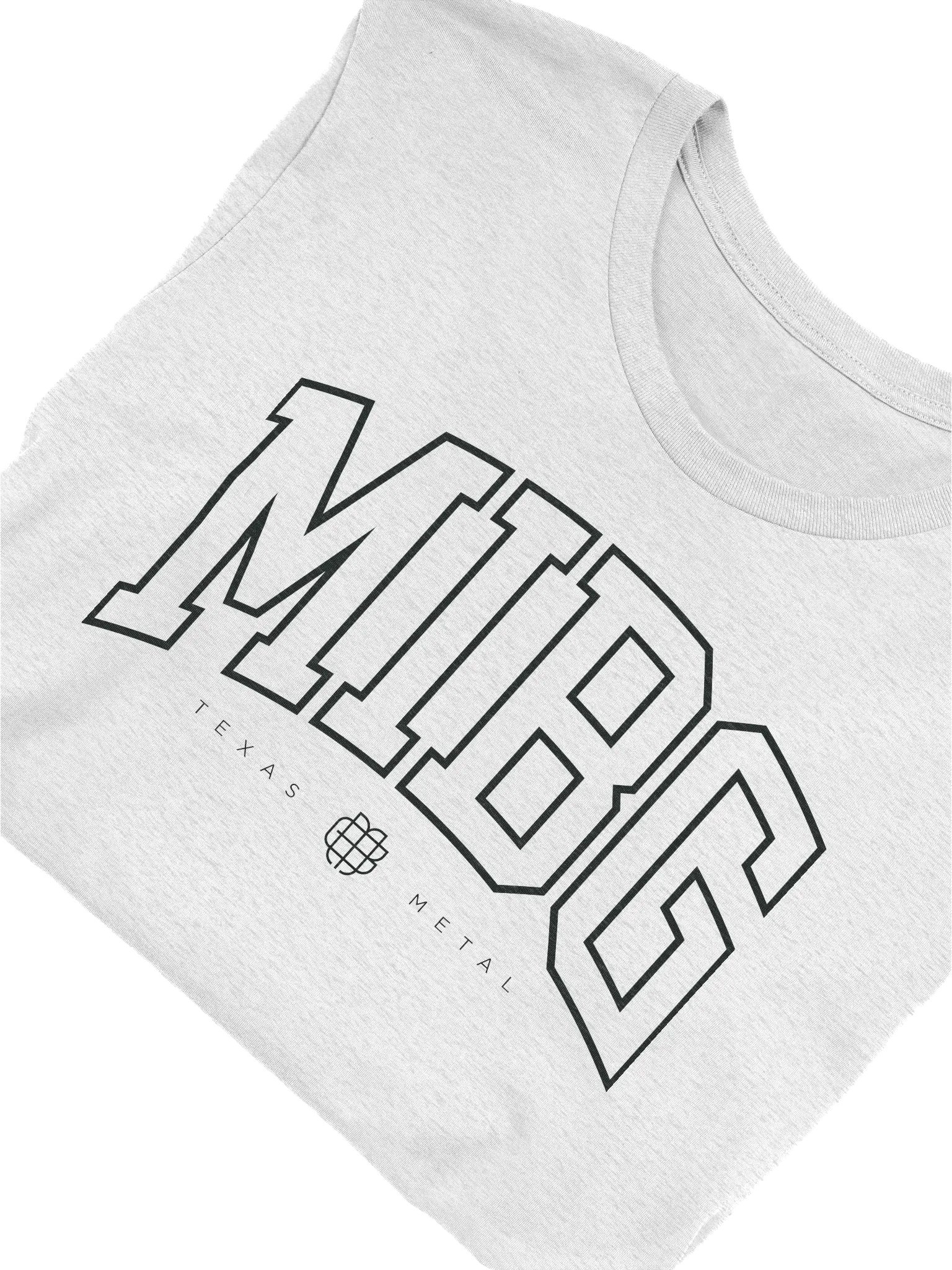 Varsity Tee (Light Grey) product image (5)
