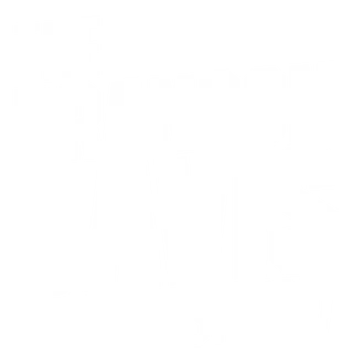 The Brandon Davis Show