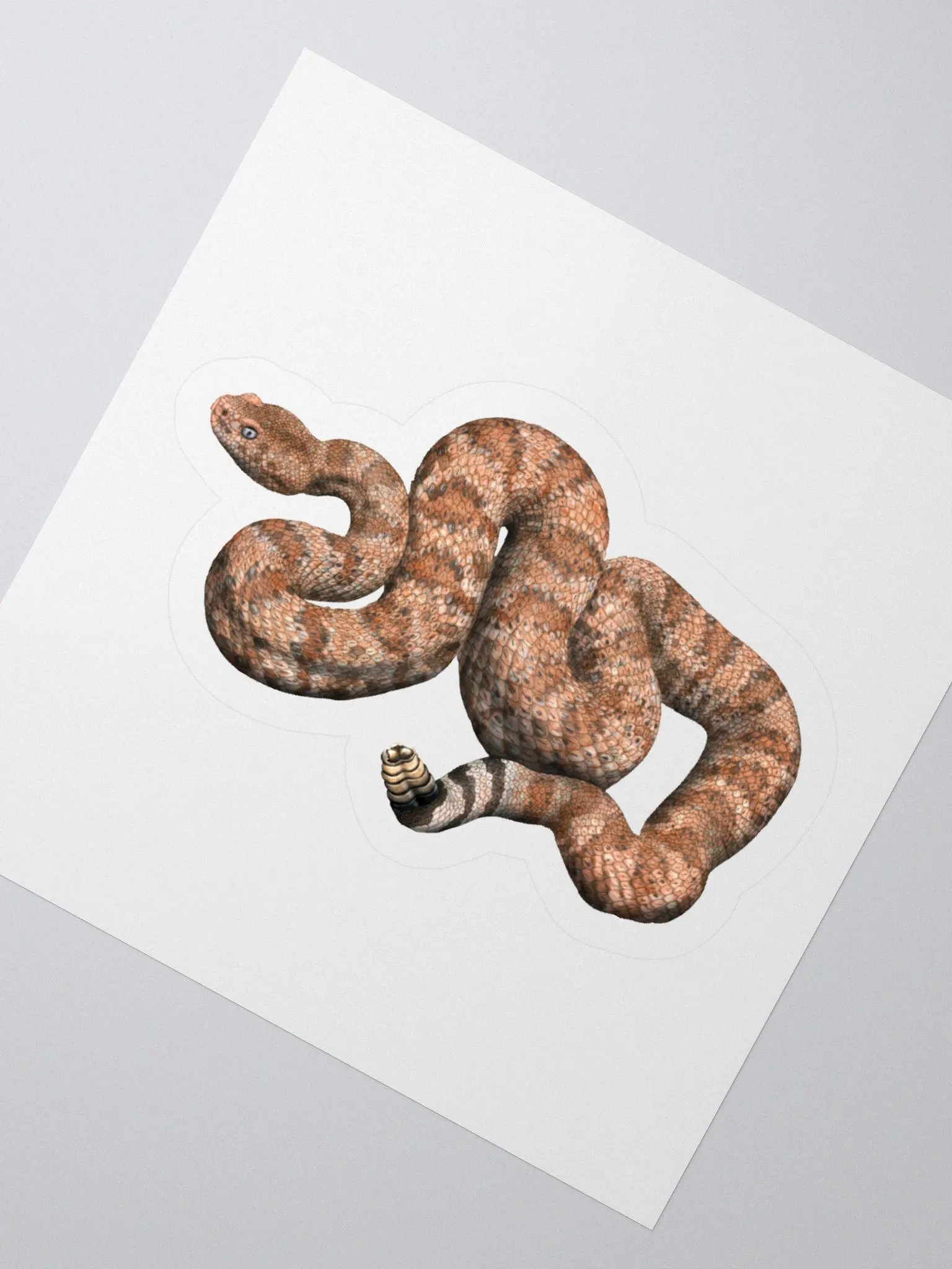 Die-Cut Sticker – Speckled Rattlesnake (Orange) product image (2)