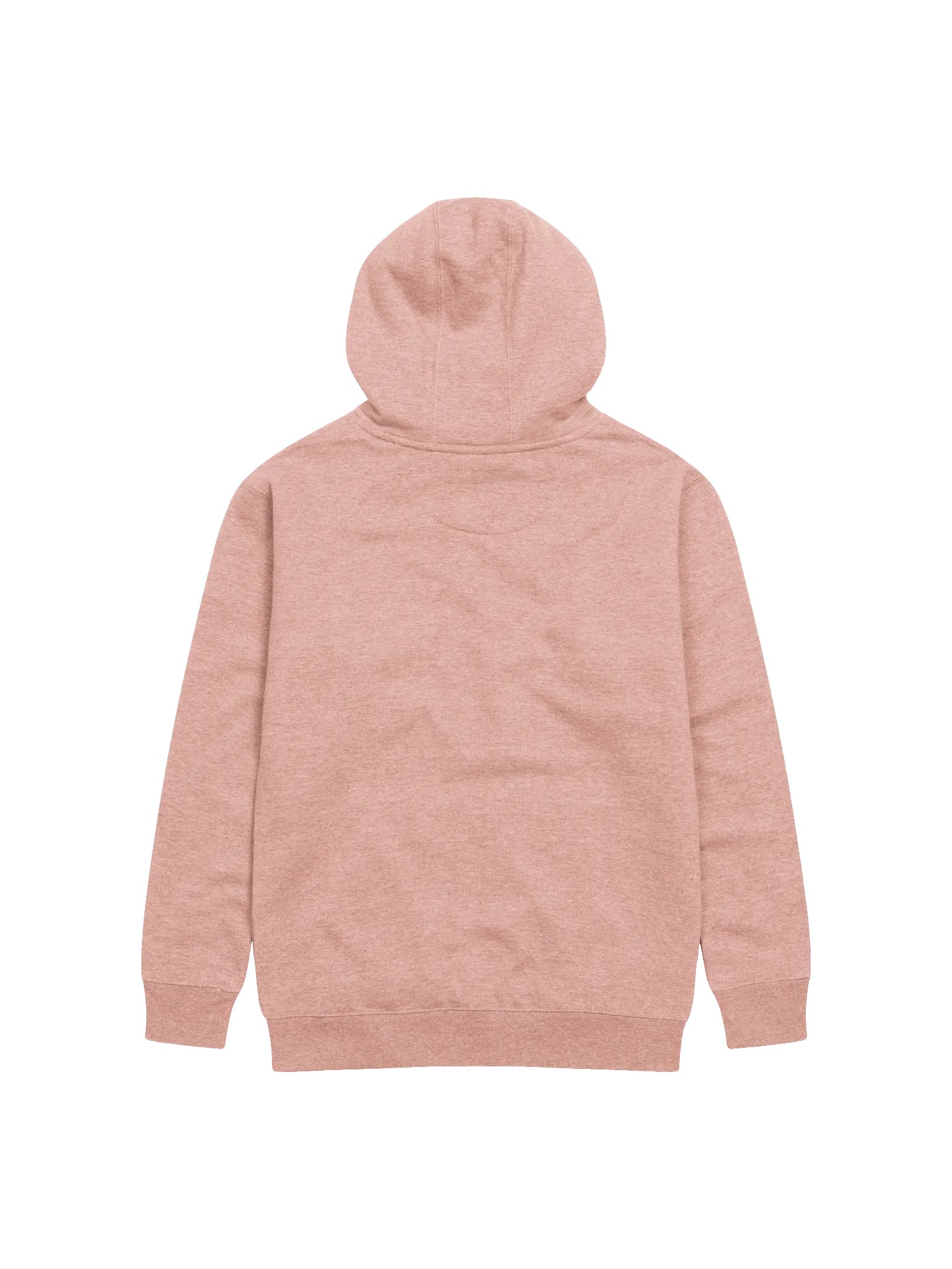 today is the day hoodie (gentle) product image (2)