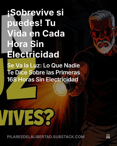 Preparación para emergencias, apagón prolongado, vida sin electricidad, seguridad en el hogar, almacenamiento de alimentos, r...