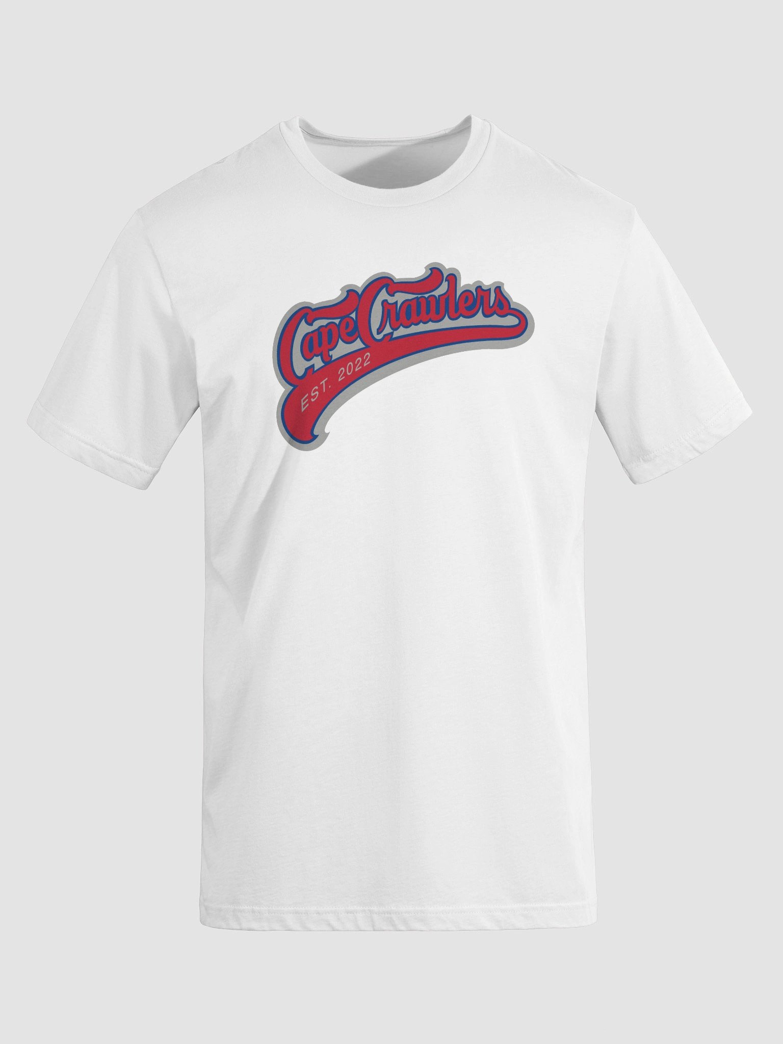 Varsity Logo Tee (red) product image (40)