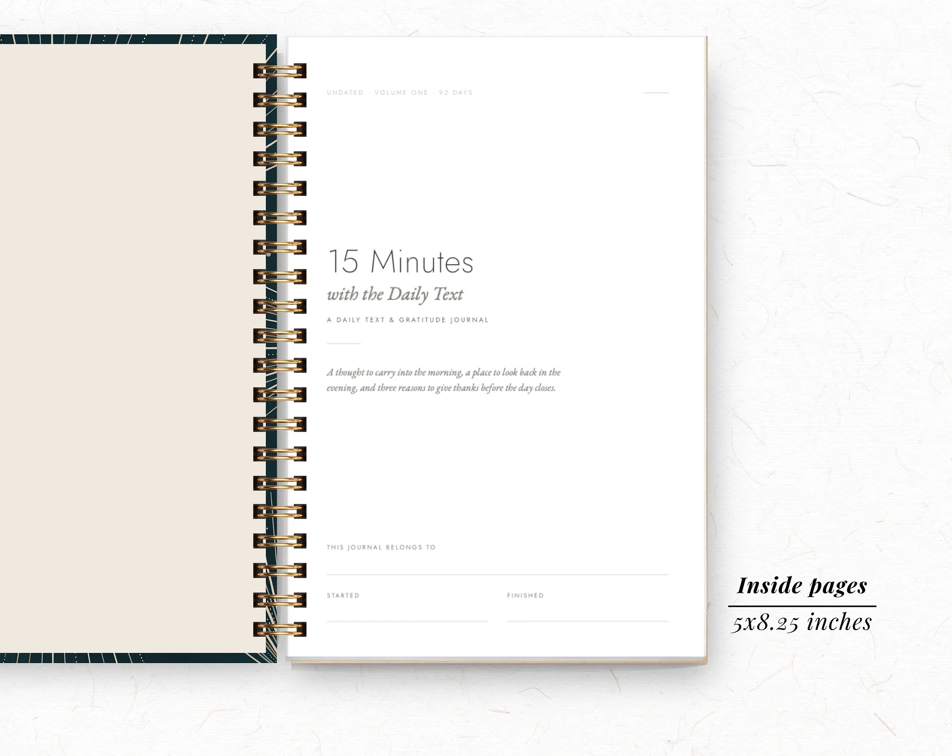 15 Minutes with the Daily Text product image (2)