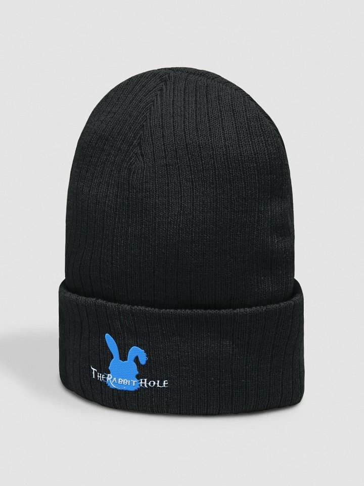 Atlantis Eco-Friendly Knit Beanie product image (2)