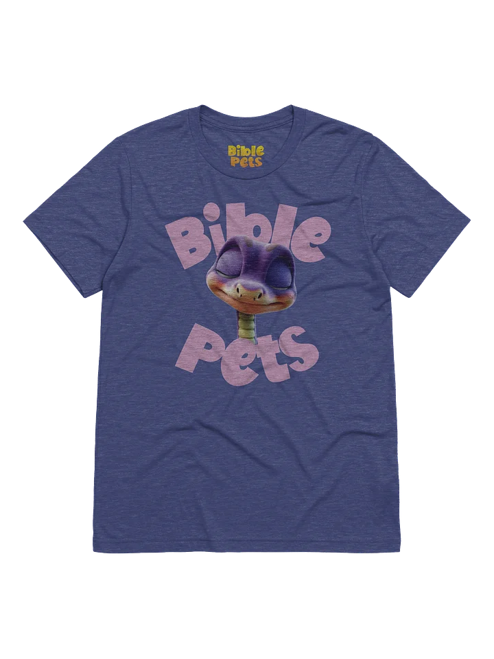 Silas Praying Adult T-Shirt product image (7)