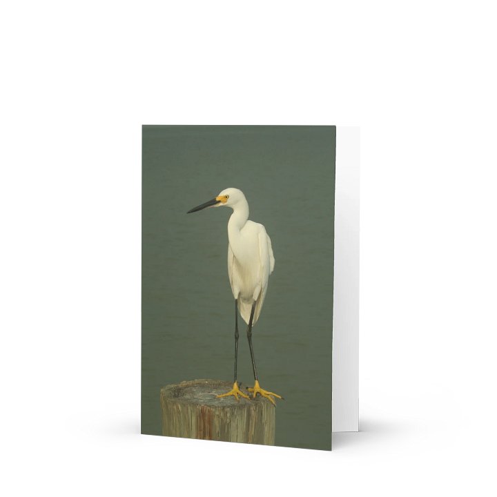 Egret Elegance Greeting Card product image (1)