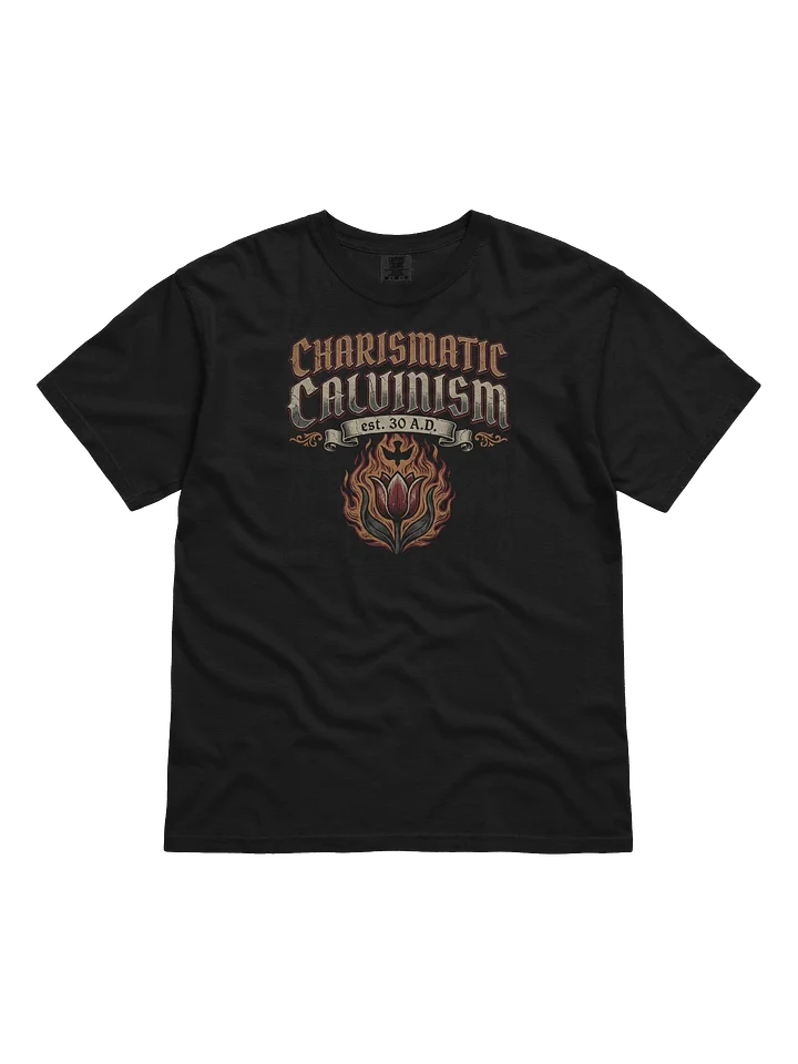 Charismatic Calvinism T product image (1)