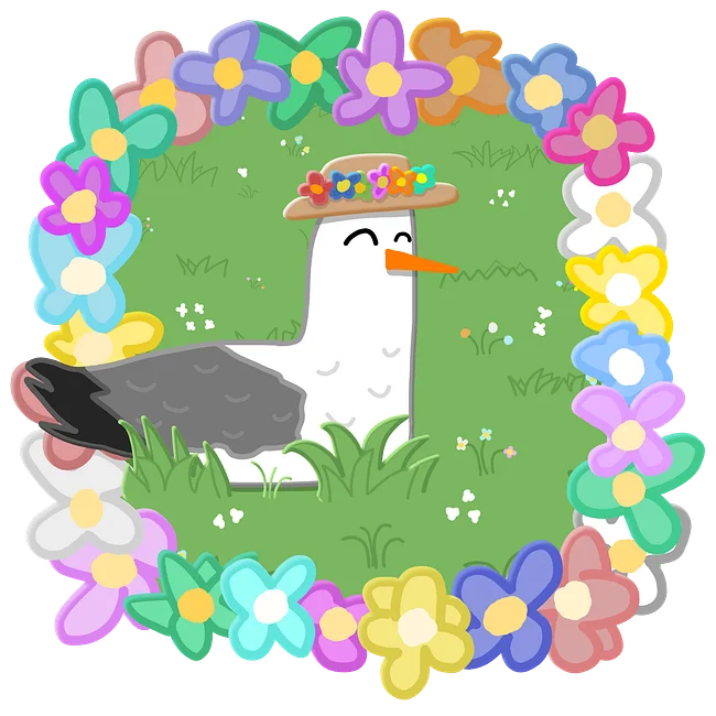 Daisy Gull