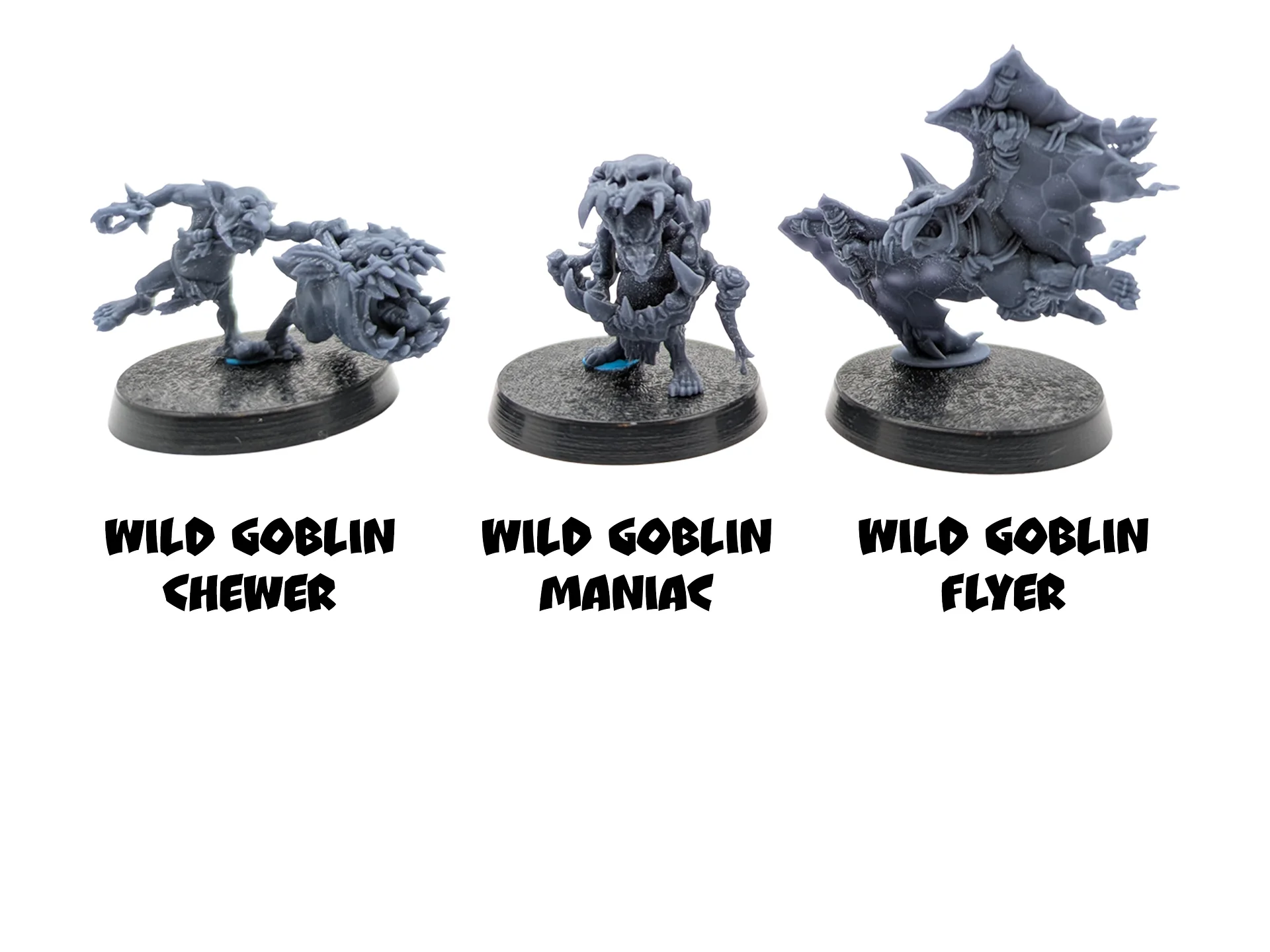 Wild Goblins Fantasy Football Team - Brutefun Miniatures product image (4)