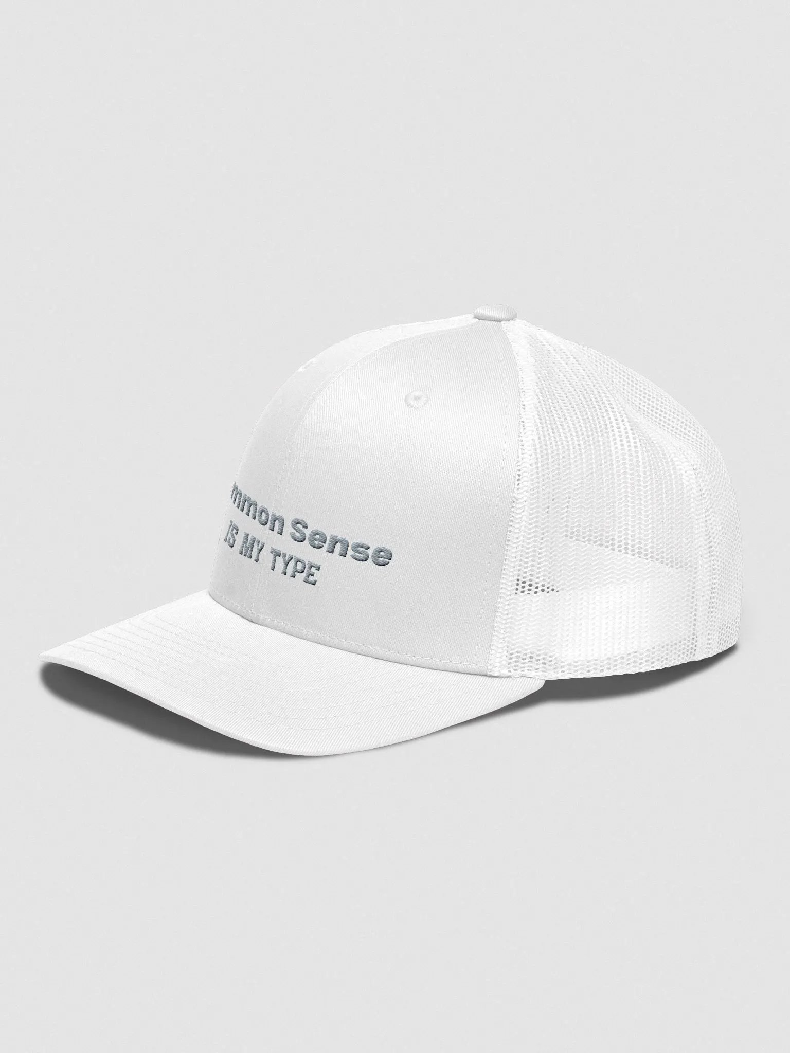 Common Sense IS MY TYPE Trucker Snapback product image (4)