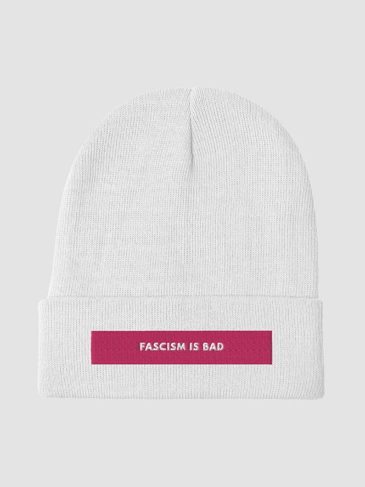 Fascism Is Bad Knit Beanie product image (1)