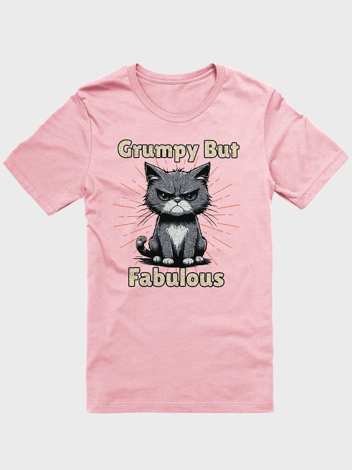 Grumpy But Fabulous Cat Cartoon T-Shirt product image (1)