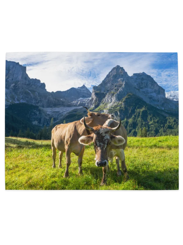 Happy swiss cows table mats product image (2)