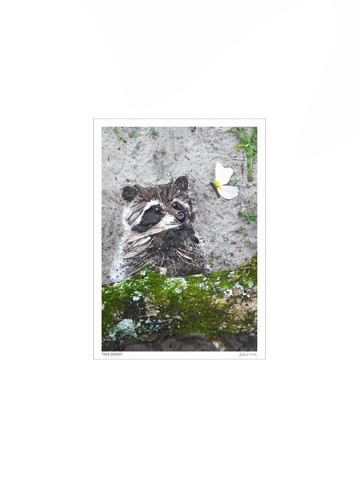 TREE BANDIT | Fine Art Print product image (2)