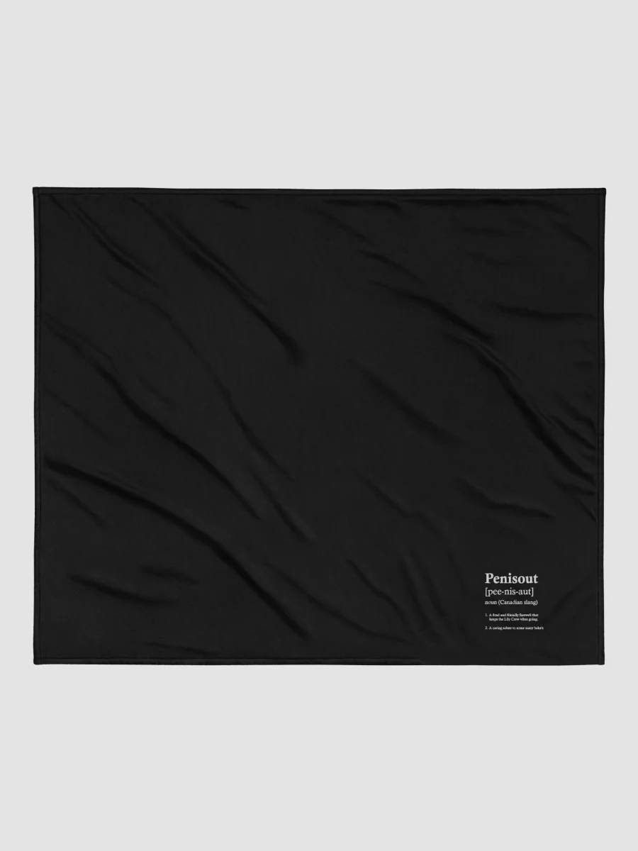P****out ~Port Authority Embroidered Premium Sherpa Blanket product image (4)