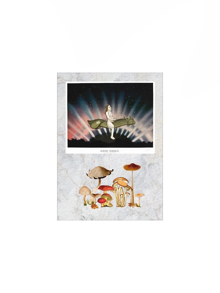 Aurora Borealis product image (1)