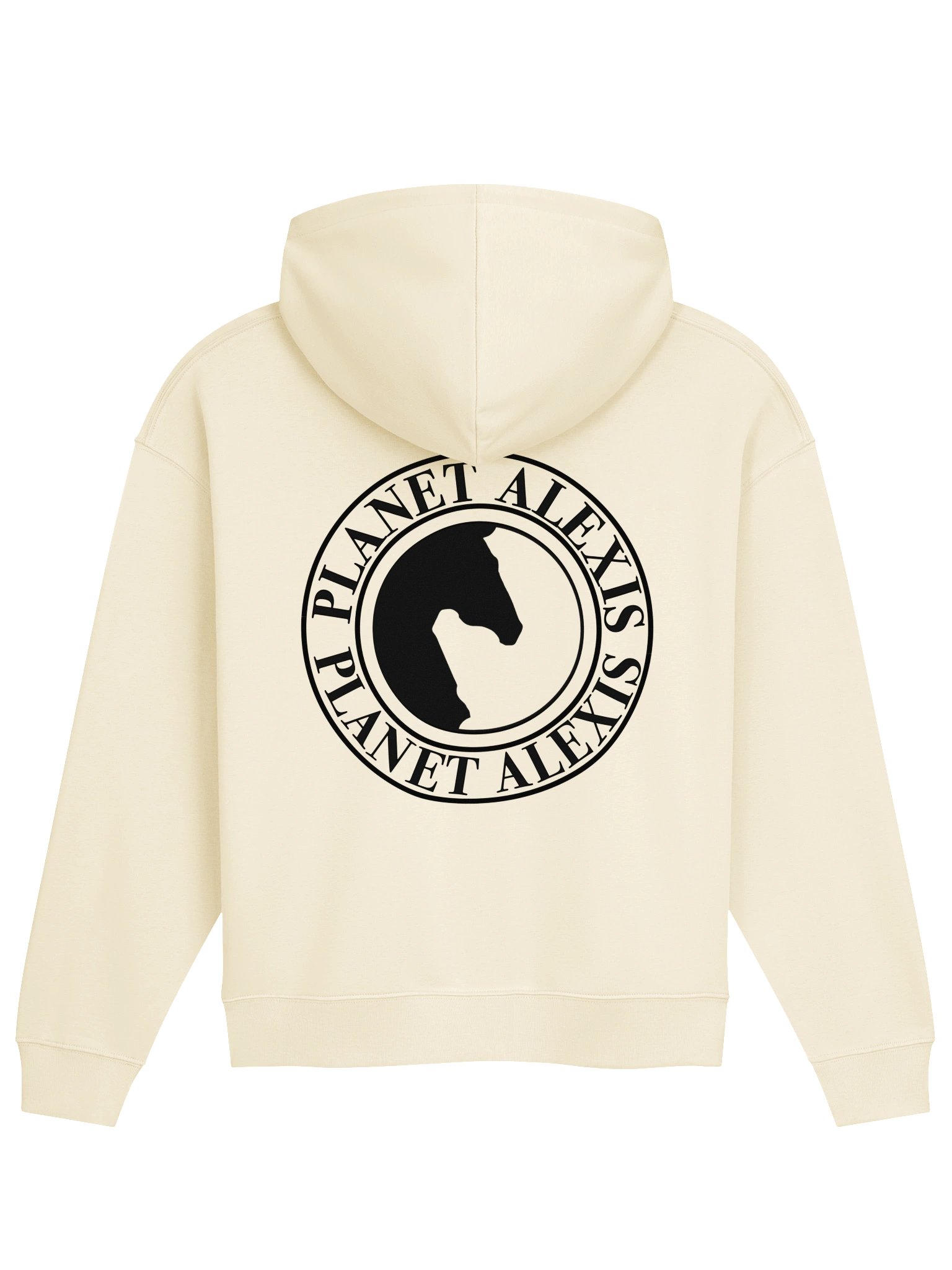 Organic Cotton Blend Hoodie product image (2)
