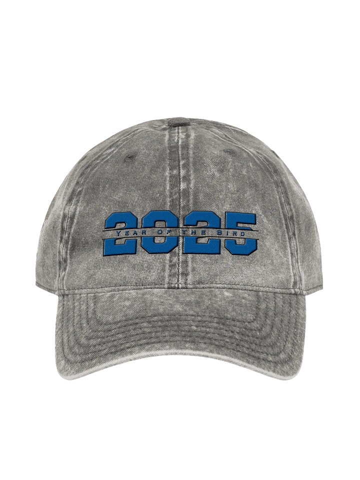Blue "Year of the Bird" Vintage Cap product image (2)
