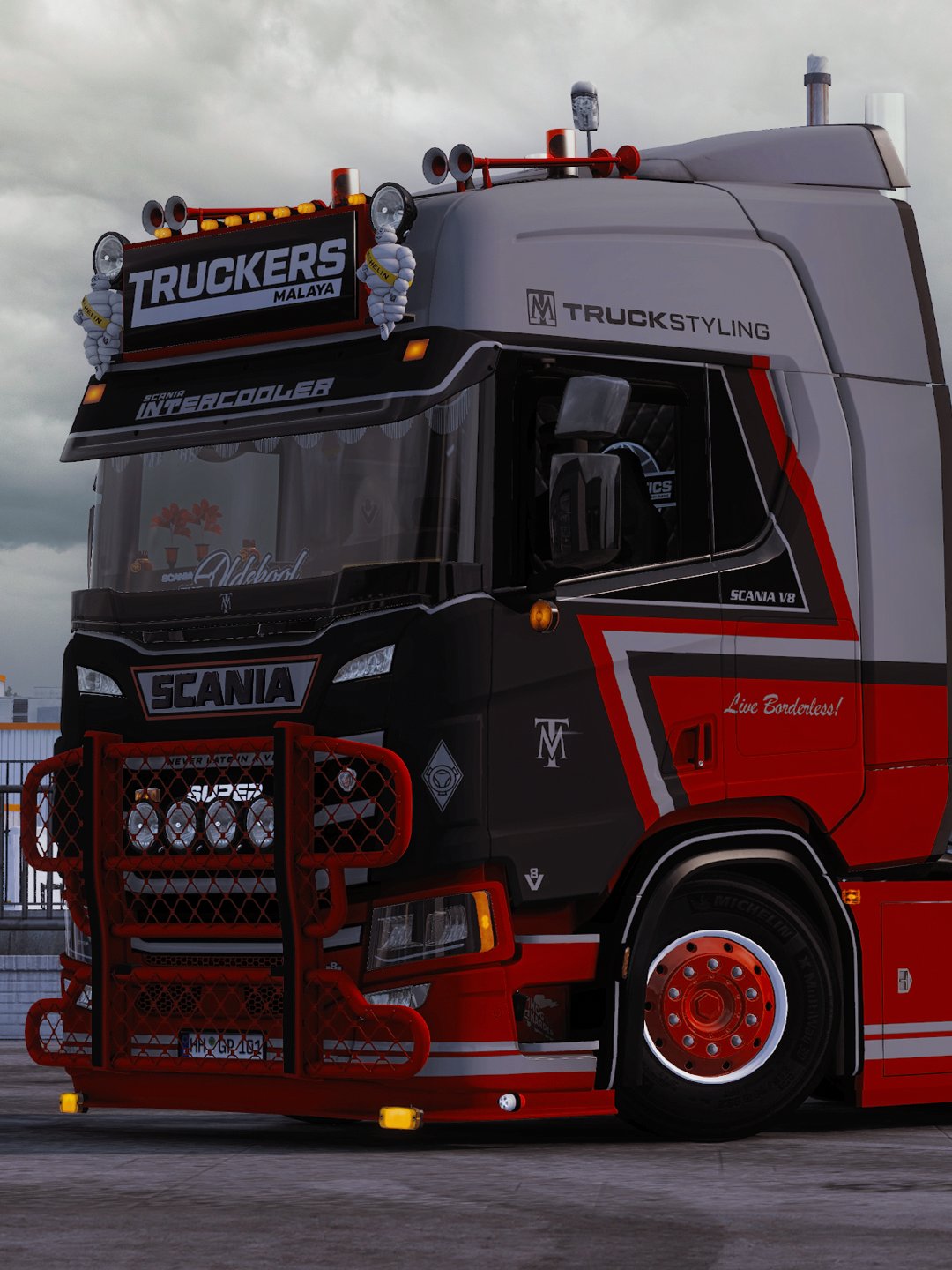 Early Access! ETS2 TM Scania R & S Next Gen 2016 Skin Pack (Glossy & Matte) Changeable Multicolor Skin Pack + Trailer skin product image (3)