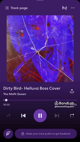 #helluvaboss #dirtybird #cover #stolashelluvaboss