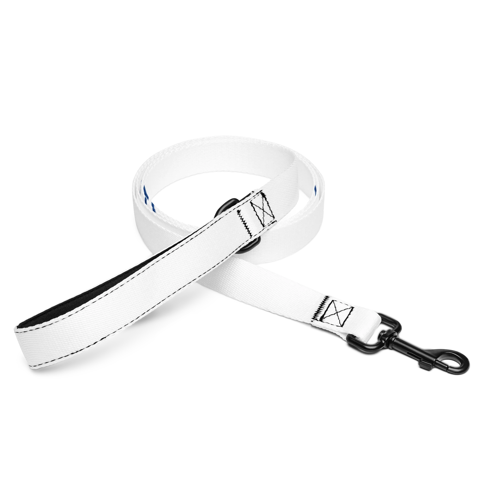 MyEcho Pet leash product image (1)
