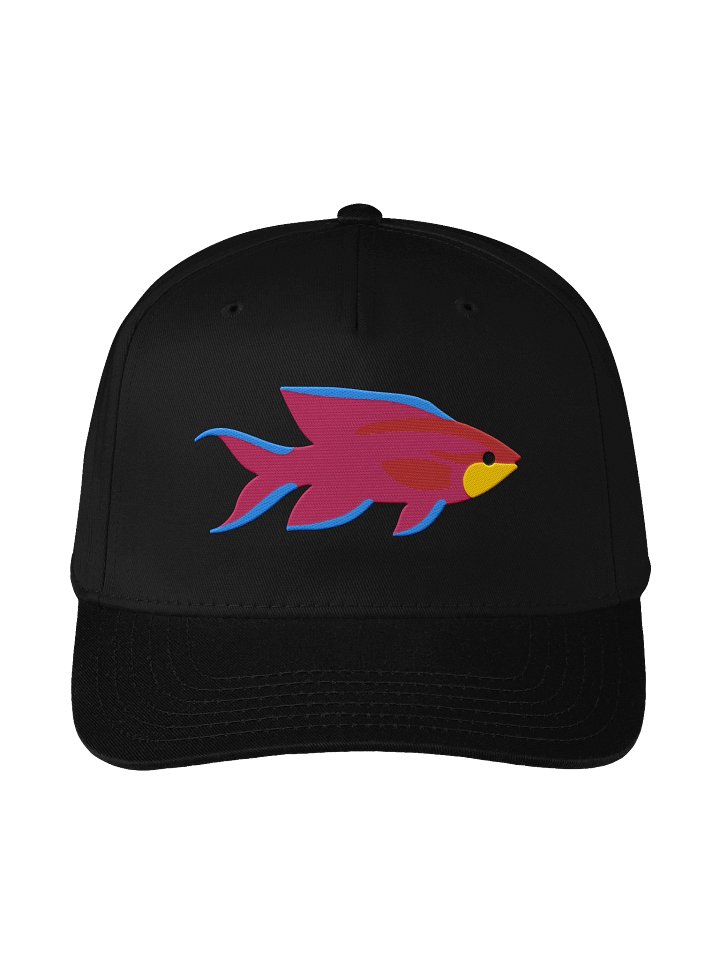 Queen Anthias Mid-Profile Baseball Cap (Embroidered) for Reef and Marine Aquarium Lovers product image (6)
