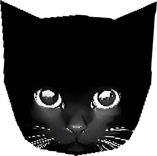 SLUJ® — BRO THE CAT SHOP