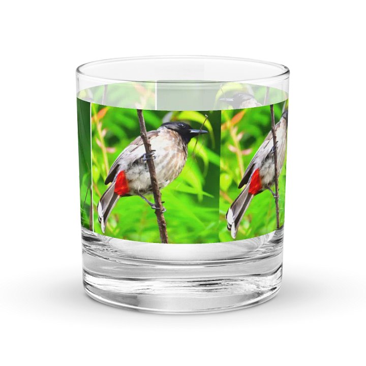 IUCAA Birds GLASS product image (2)