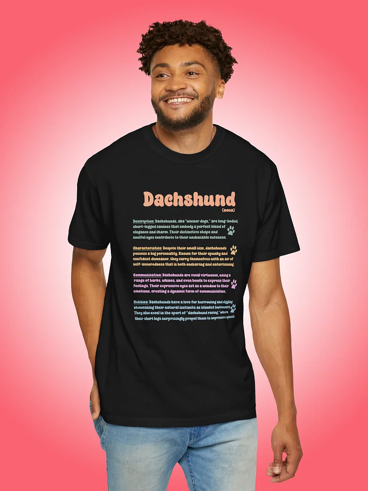 Definition of a Dachshund product image (1)