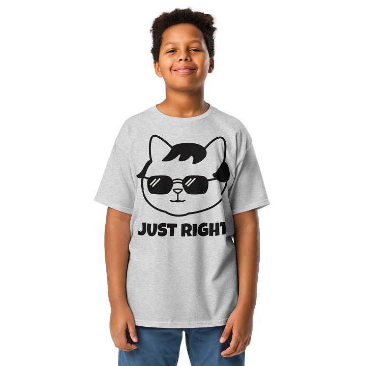 Goromi the Cat in Wig (JUST RIGHT) - Unisex Youth Heavyweight T-shirt product image (1)