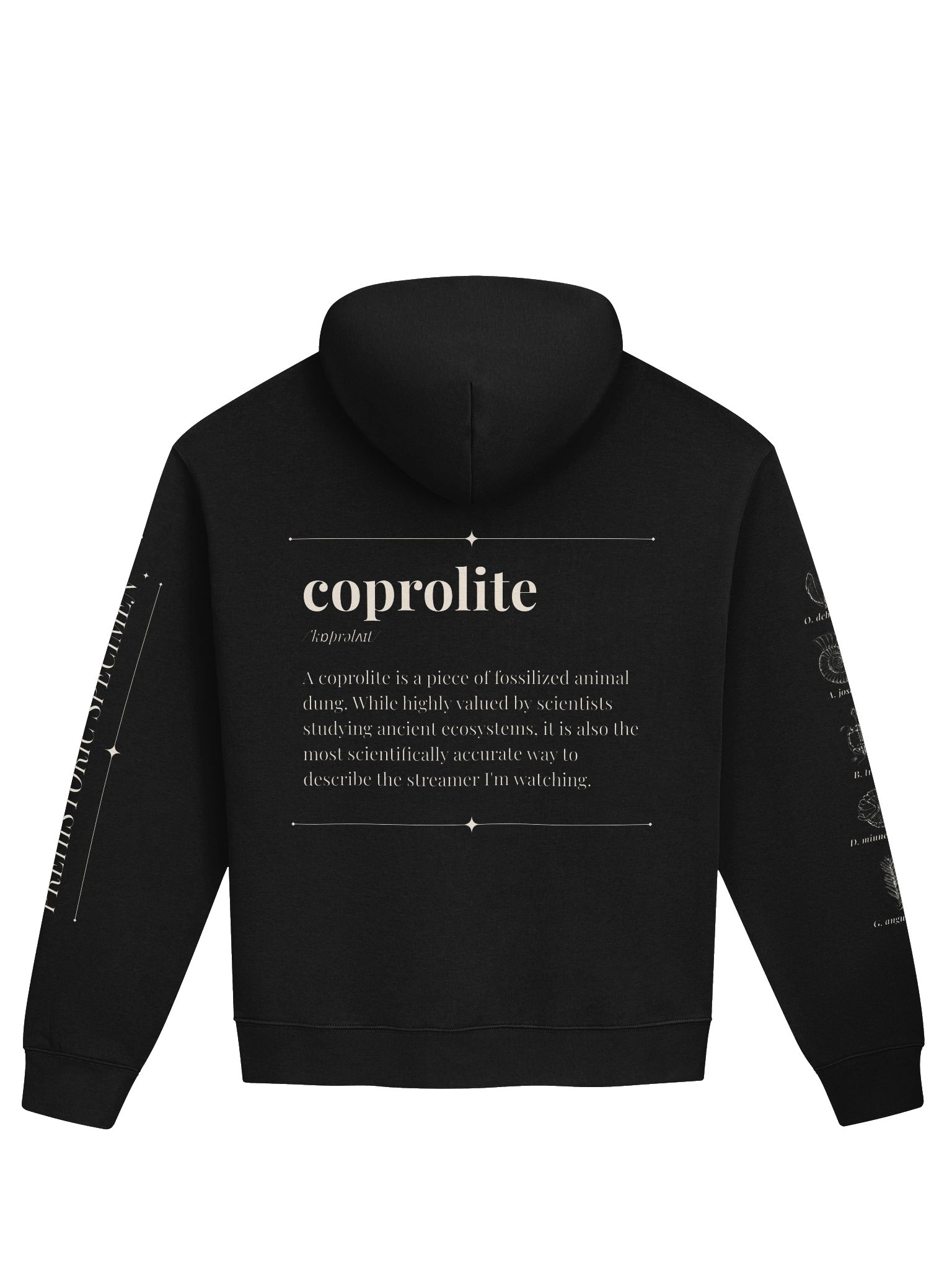 Coprolite Relaxed Hoodie product image (2)