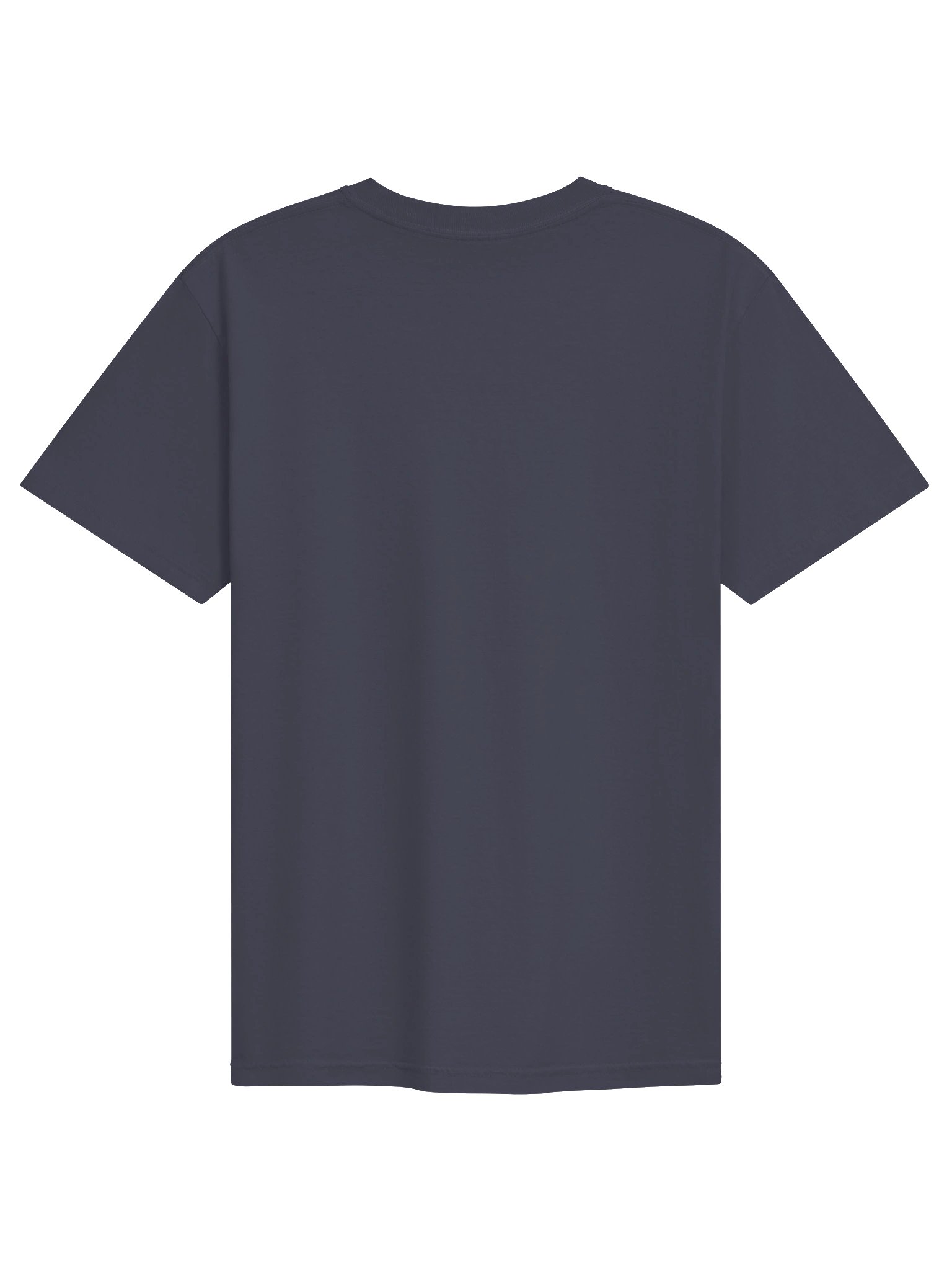 Collegiate Collection T-Shirt - Navy product image (2)