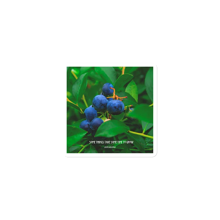 Some things take some time to grow- Wild Blueberry Magnet product image (1)