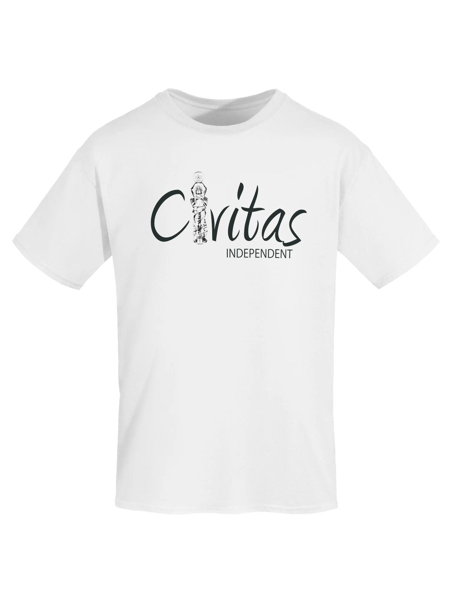 Logo T-Shirt (Black Logo) product image (5)