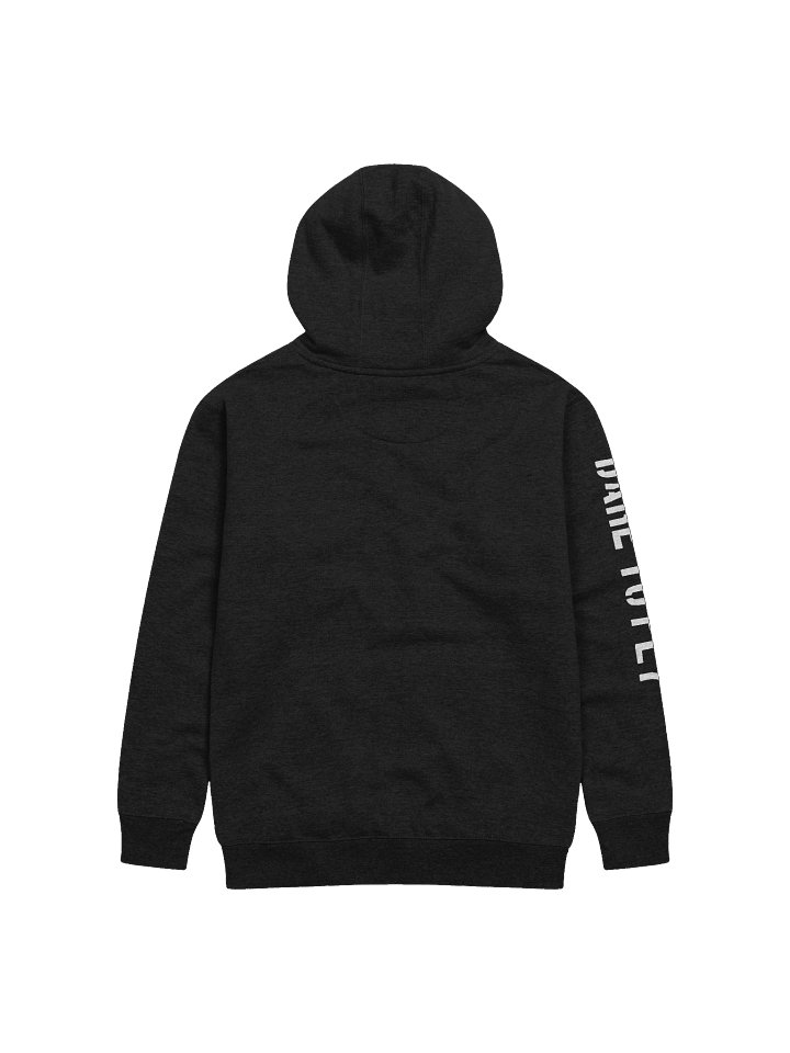 Haus Logo (Pullover) Hoodie product image (2)