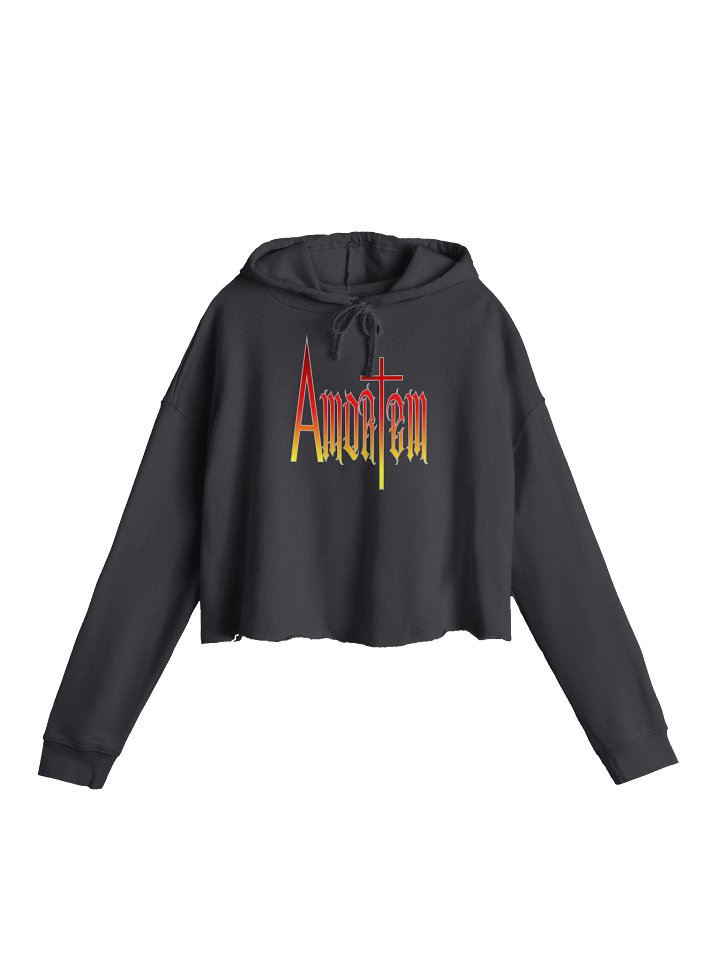 Amortem Gradient Crop Hoodie product image (1)