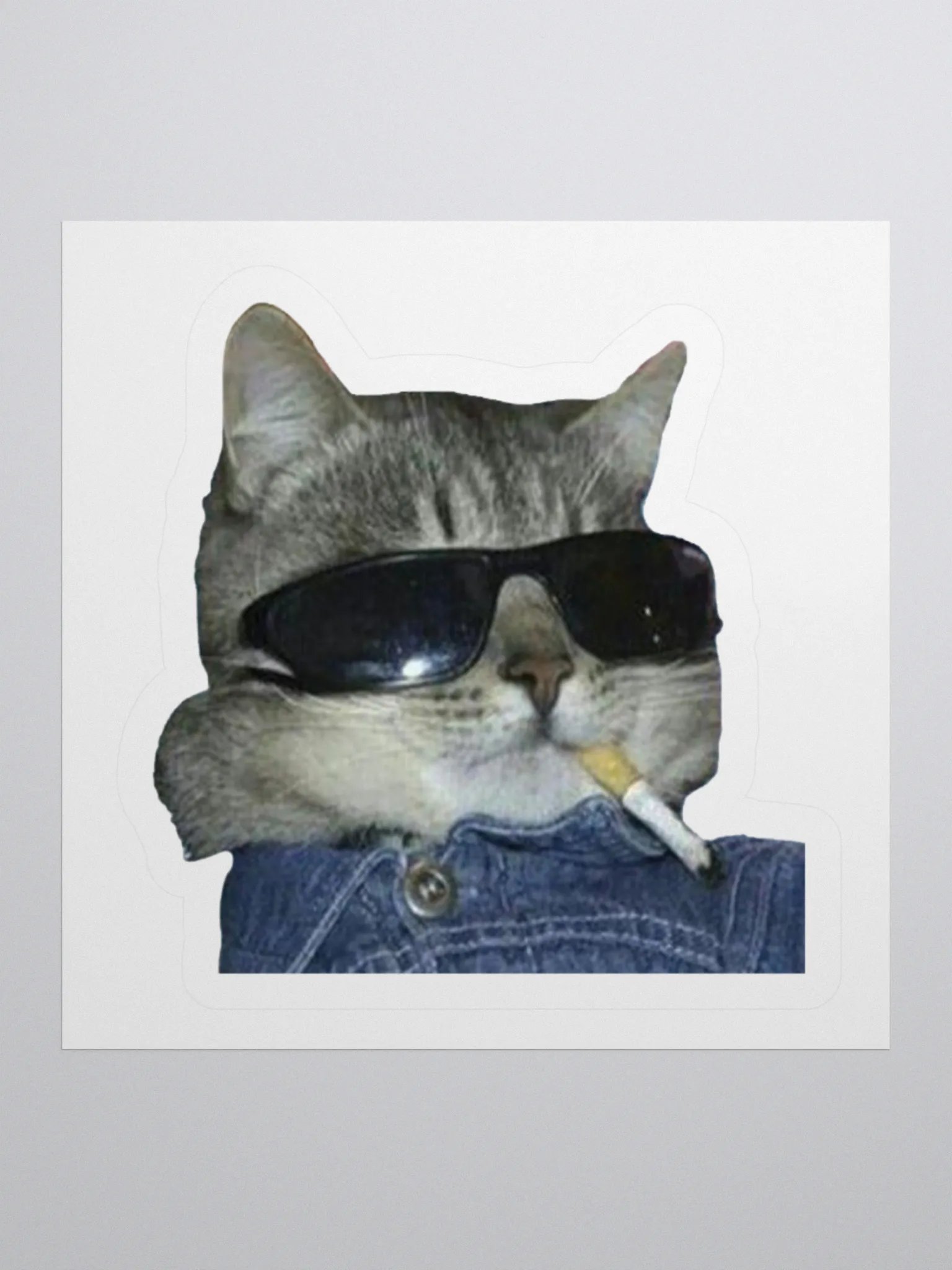 Cool Cat Sticker product image (2)