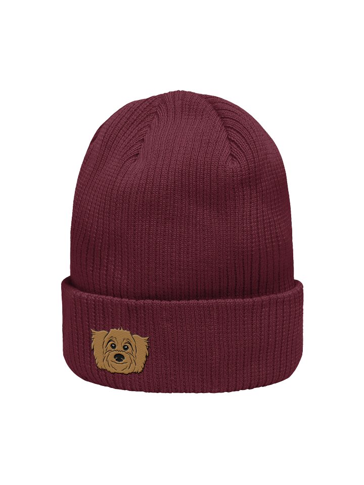 Radar Beanie product image (7)