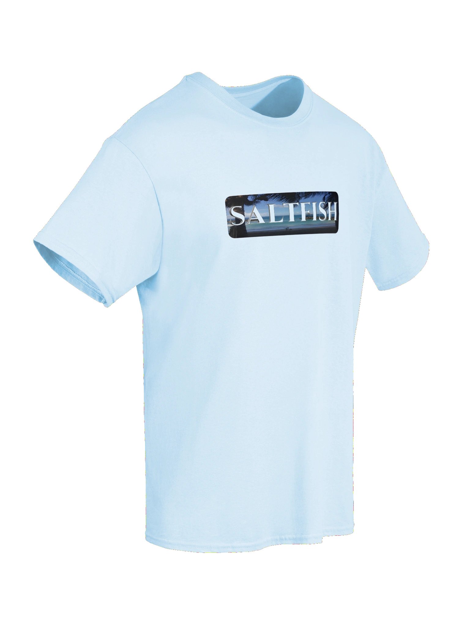 CaribbeanApples - Saltfish | Heavyweight T-Shirt | 9 Colors product image (6)