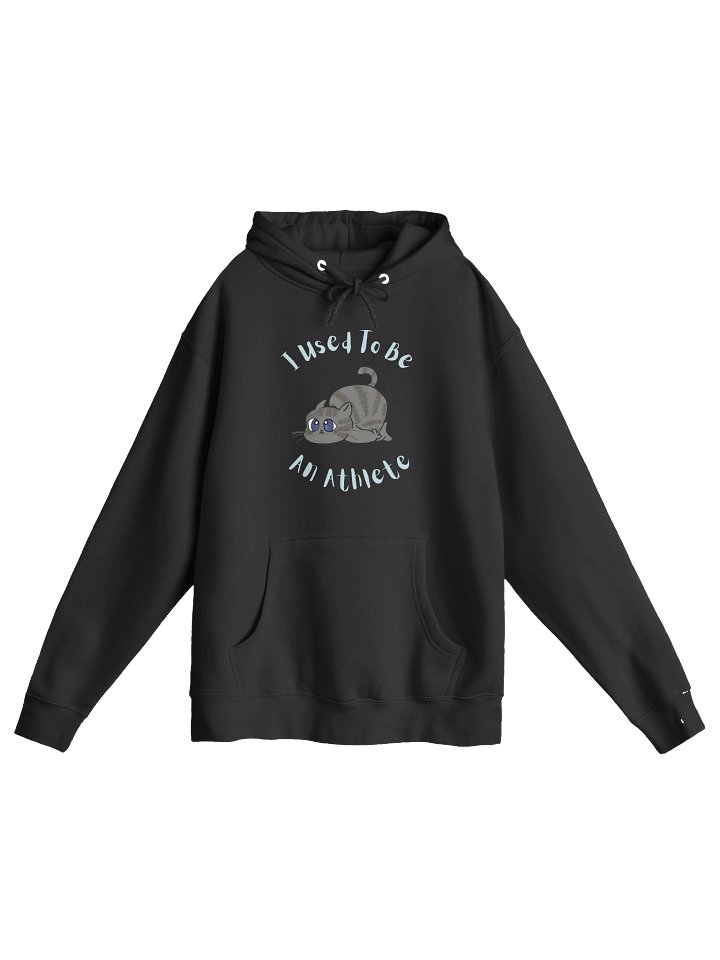 Chubby Cat Confession Hoodie product image (1)