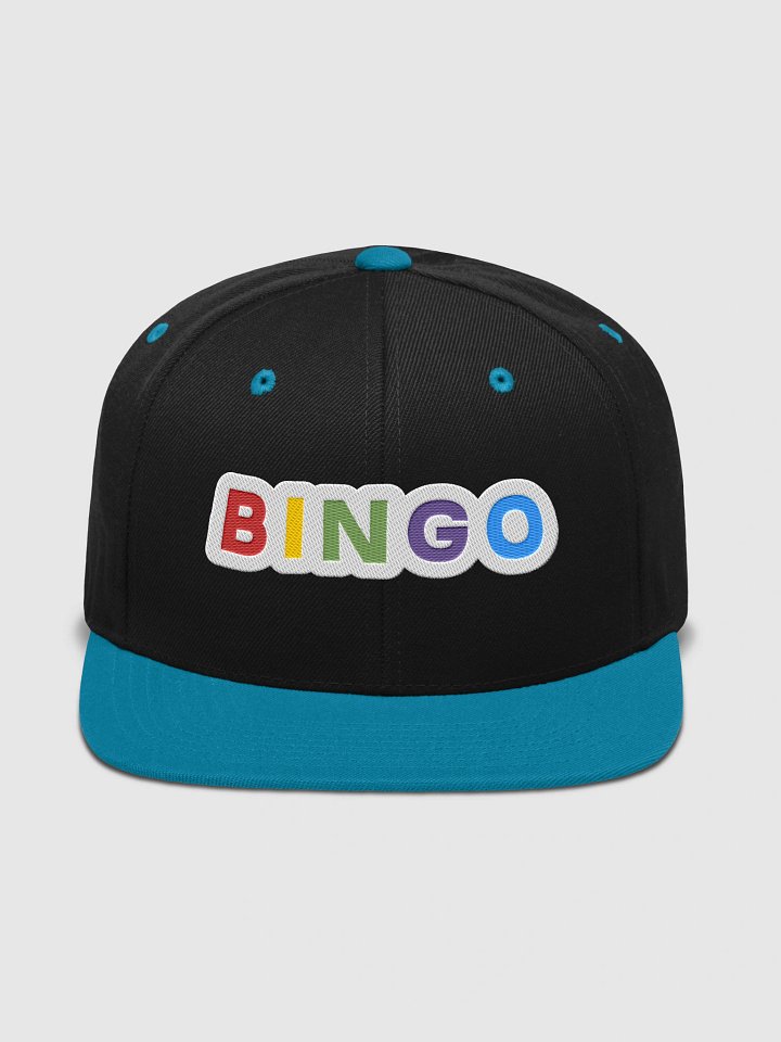 Alt Embroidered Bingo Letters Snapback Hat product image (4)