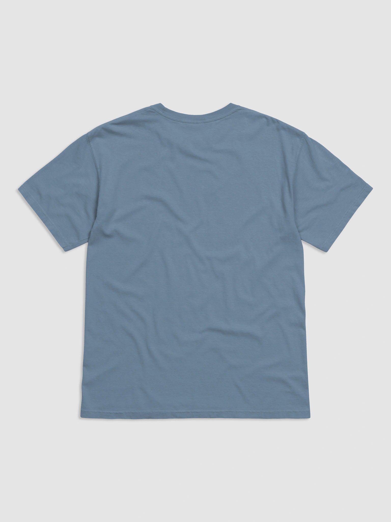 Equality (Heavyweight T-shirt) product image (21)