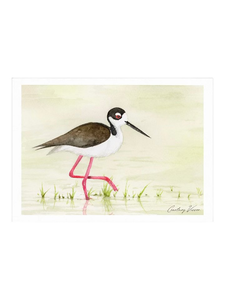 Black-necked stilt print product image (1)
