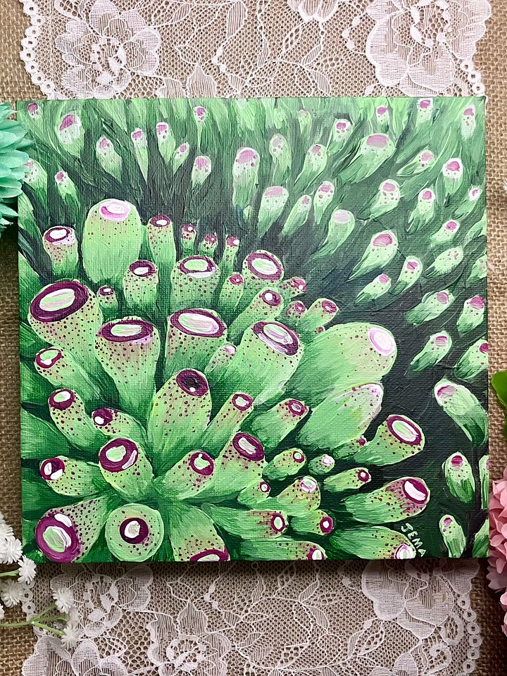 Succulent Cluster Acrylic Painting On Canvas product image (1)