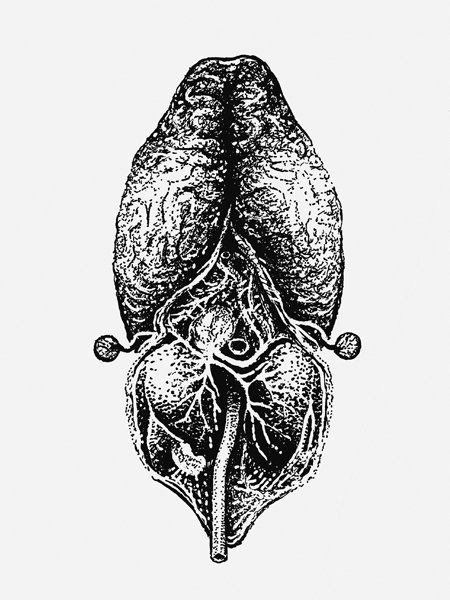 martian · art print product image (2)