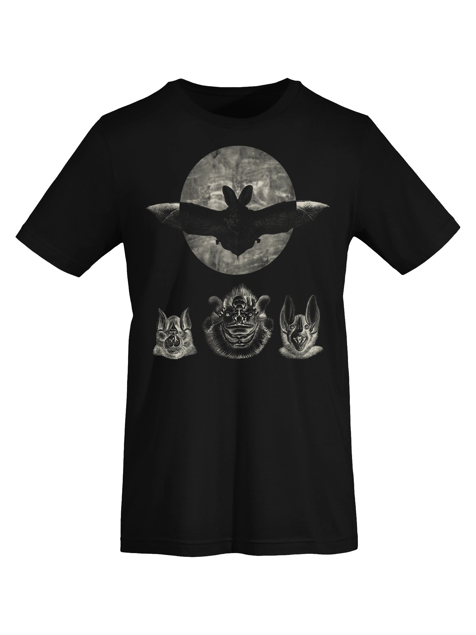 Bats and Moon – Haeckel T-Shirt product image (5)
