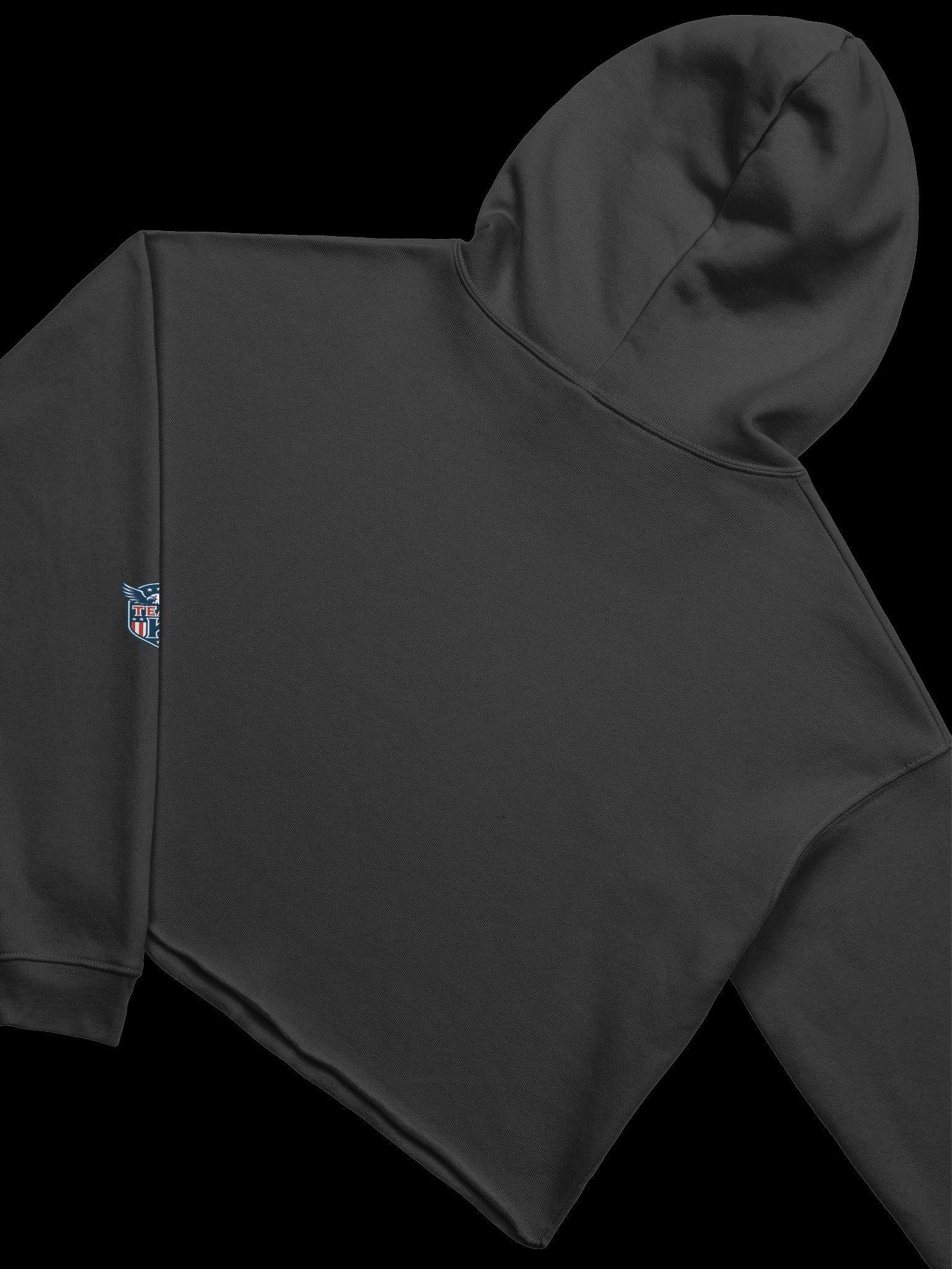 Team K USA Crop Hoodie product image (4)